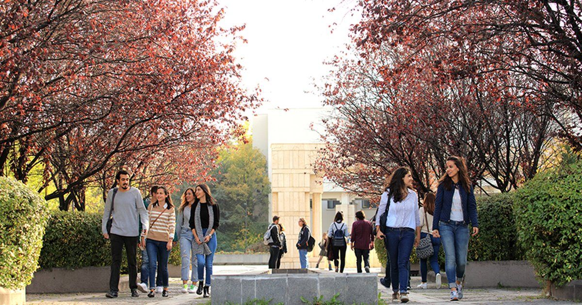 Aufenthaltserlaubnis für ausländische Studierende — der Prozess von der Einschreibung bis zum Abschluss